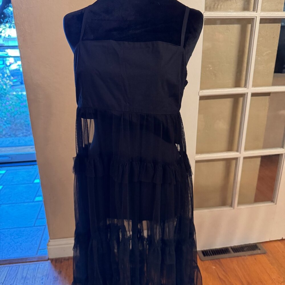 Maeve by Anthropologie Mesh Tulle Sheer Midi Dress